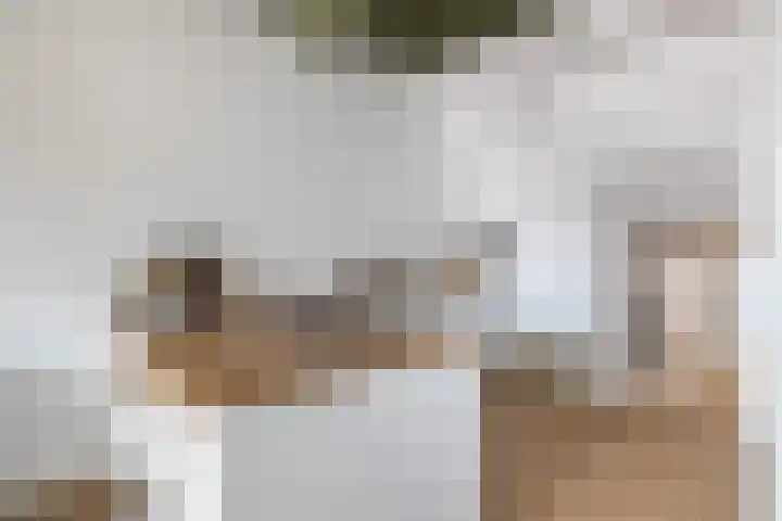 Achter de Kerk 8 j Gouda thumbnail 20