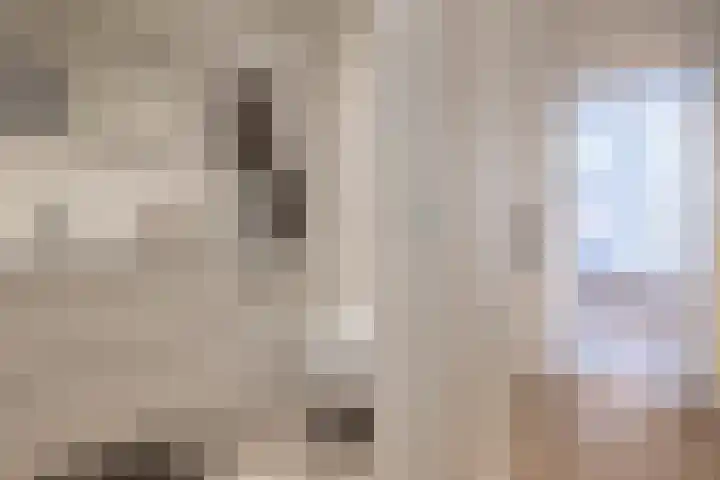 Achter de Kerk 8 j Gouda thumbnail 29