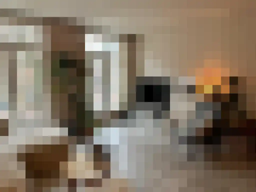 Achter de Kerk 9 Gorinchem thumbnail 6