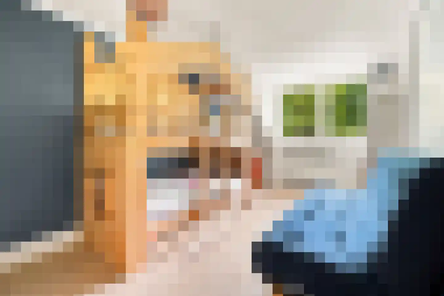 Achter de Kerken 49 Abcoude thumbnail 19