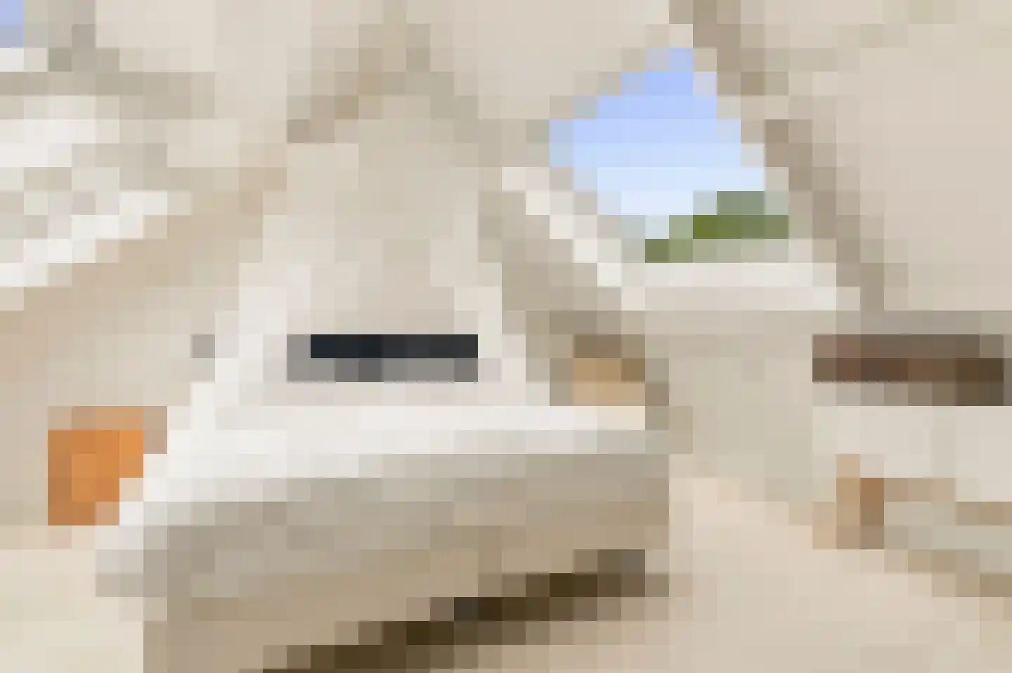 Achter de Kerken 49 Abcoude thumbnail 29