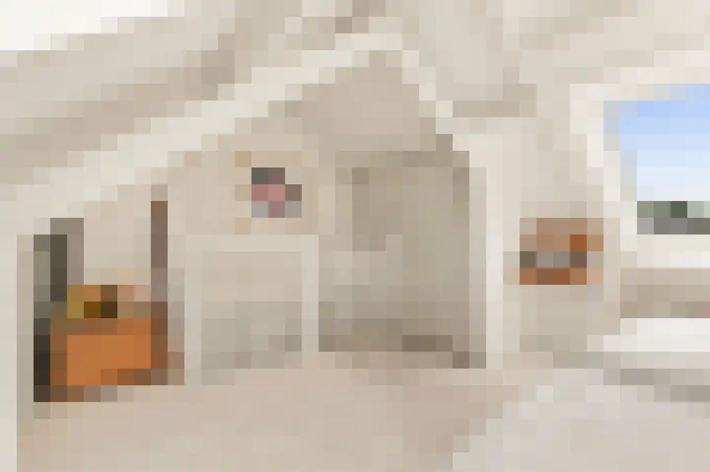 Achter de Kerken 49 Abcoude thumbnail 30