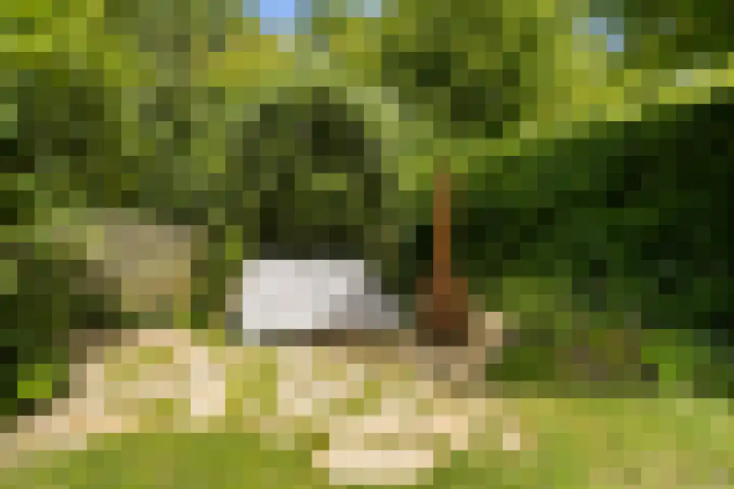 Achter de Kerken 49 Abcoude thumbnail 35
