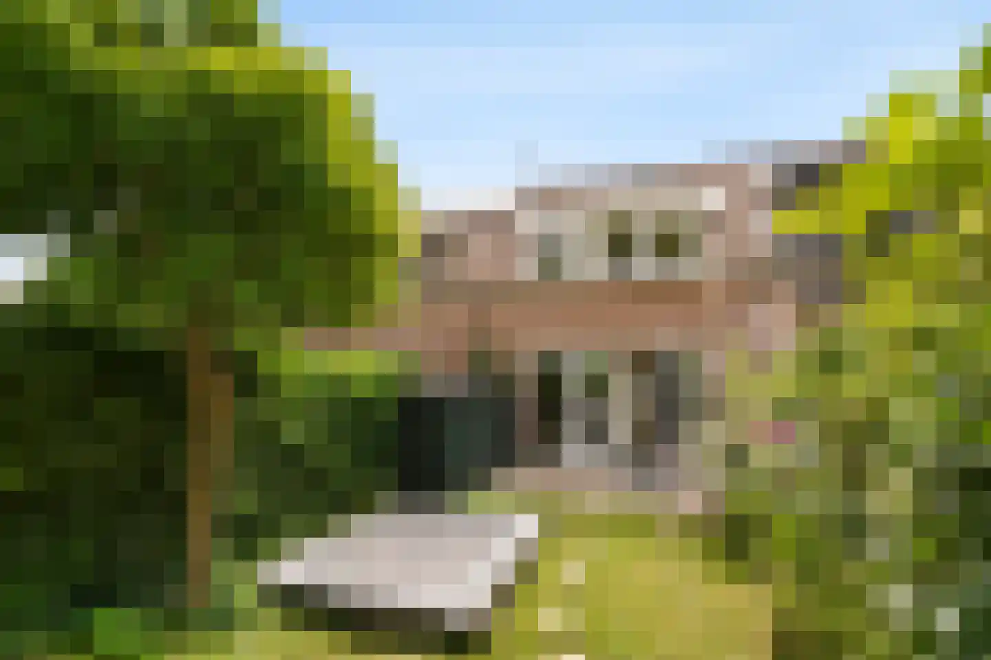 Achter de Kerken 49 Abcoude thumbnail 36