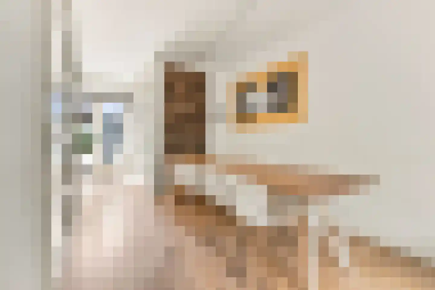 Achter de Kerken 49 Abcoude thumbnail 7