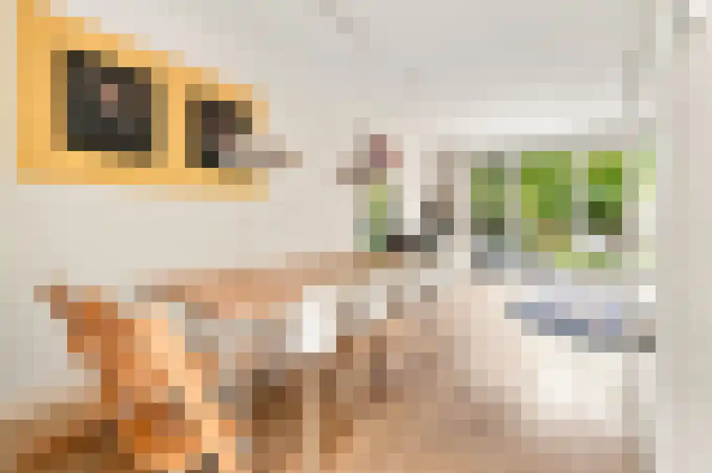 Achter de Kerken 49 Abcoude thumbnail 9