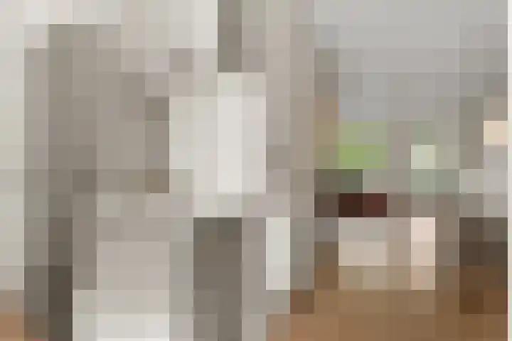 Achter de Kerken 51 Abcoude thumbnail 12