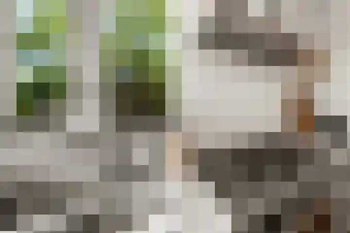 Achter de Kerken 51 Abcoude thumbnail 13