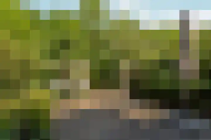 Achter de Kerken 51 Abcoude thumbnail 24
