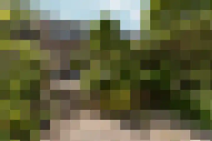 Achter de Kerken 51 Abcoude thumbnail 25