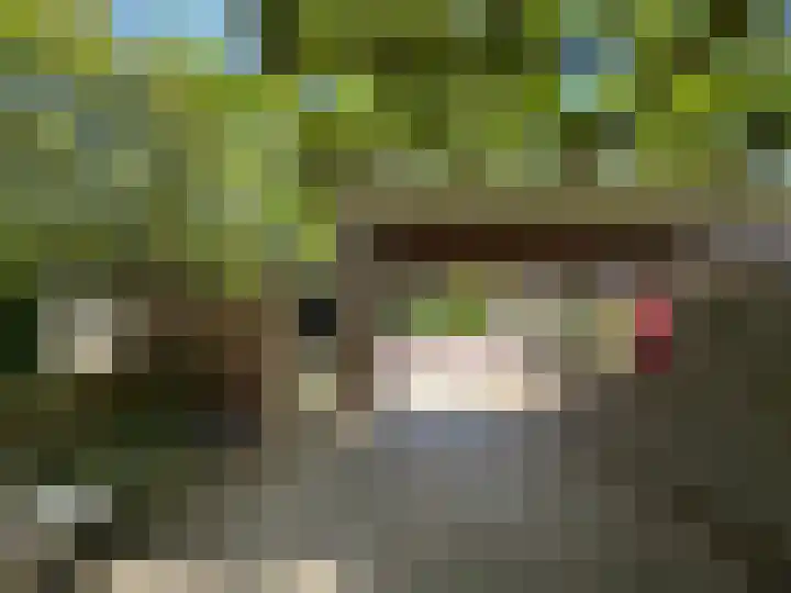 Achter de Kerken 51 Abcoude thumbnail 26