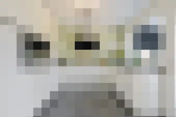 Achter de Kruiskapel 16 Grevenbicht thumbnail 14