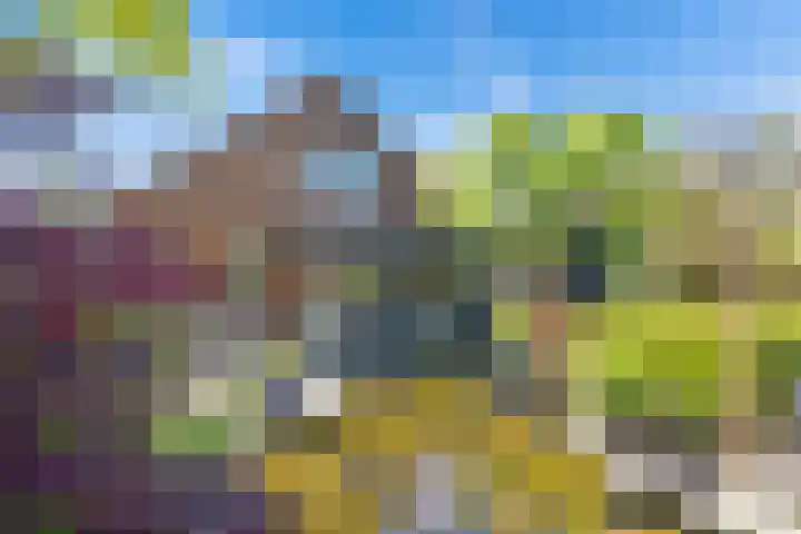 Achter de Kruiskapel 16 Grevenbicht thumbnail 18