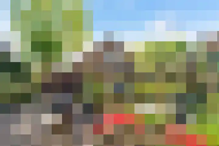 Achter de Kruiskapel 16 Grevenbicht thumbnail 19