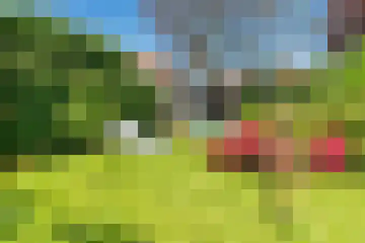 Achter de Kruiskapel 16 Grevenbicht thumbnail 22