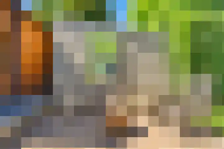 Achter de Kruiskapel 16 Grevenbicht thumbnail 23