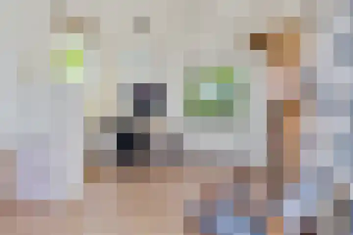 Achter de Kruiskapel 16 Grevenbicht thumbnail 30