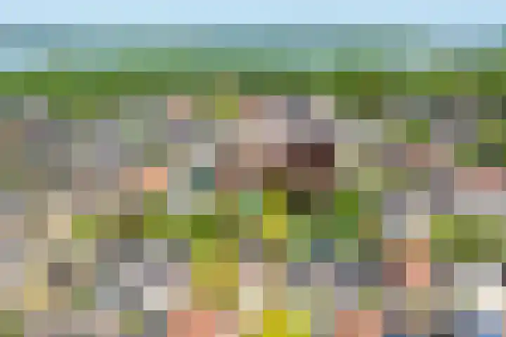 Achter de Kruiskapel 16 Grevenbicht thumbnail 32
