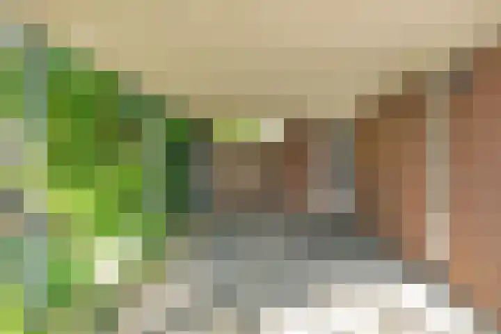 Achter de Kruiskapel 16 Grevenbicht thumbnail 33