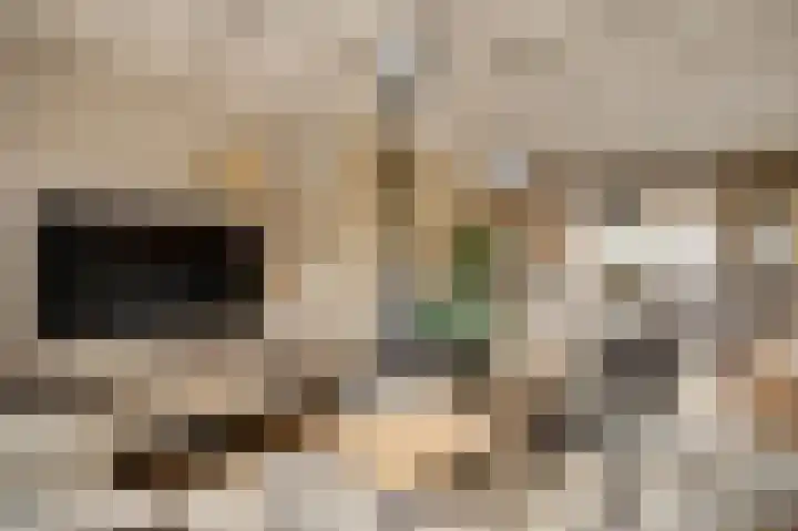 Achter de Kruiskapel 24 Grevenbicht thumbnail 13