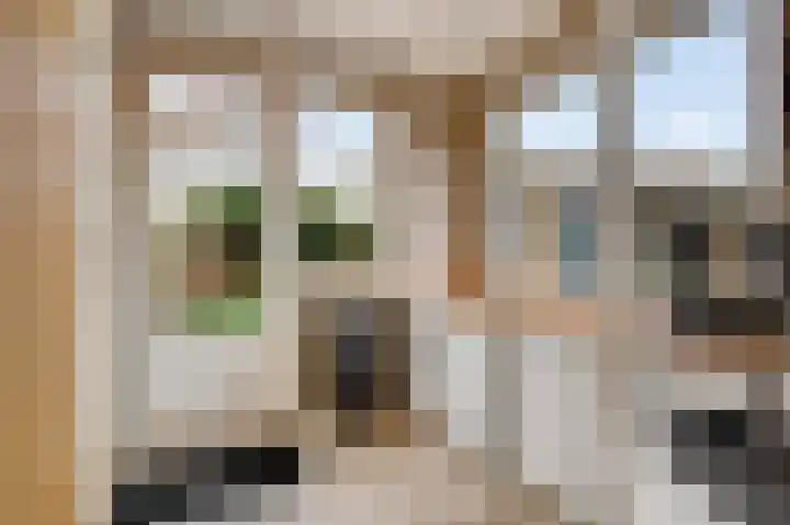Achter de Kruiskapel 24 Grevenbicht thumbnail 15