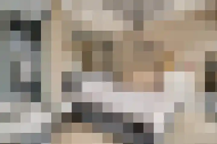 Achter de Kruiskapel 24 Grevenbicht thumbnail 16