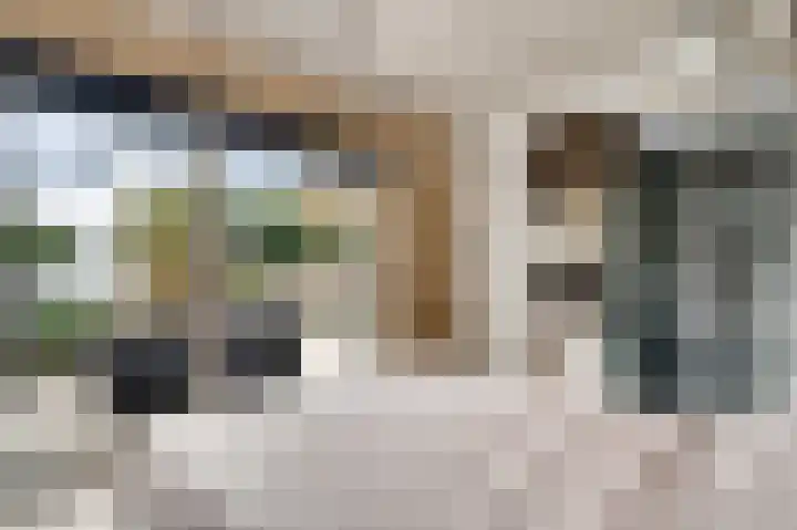Achter de Kruiskapel 24 Grevenbicht thumbnail 17