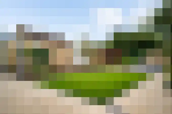 Achter de Kruiskapel 24 Grevenbicht foto 3