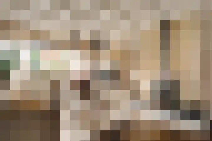 Achter de Kruiskapel 24 Grevenbicht thumbnail 4