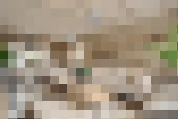Achter de Kruiskapel 24 Grevenbicht thumbnail 5