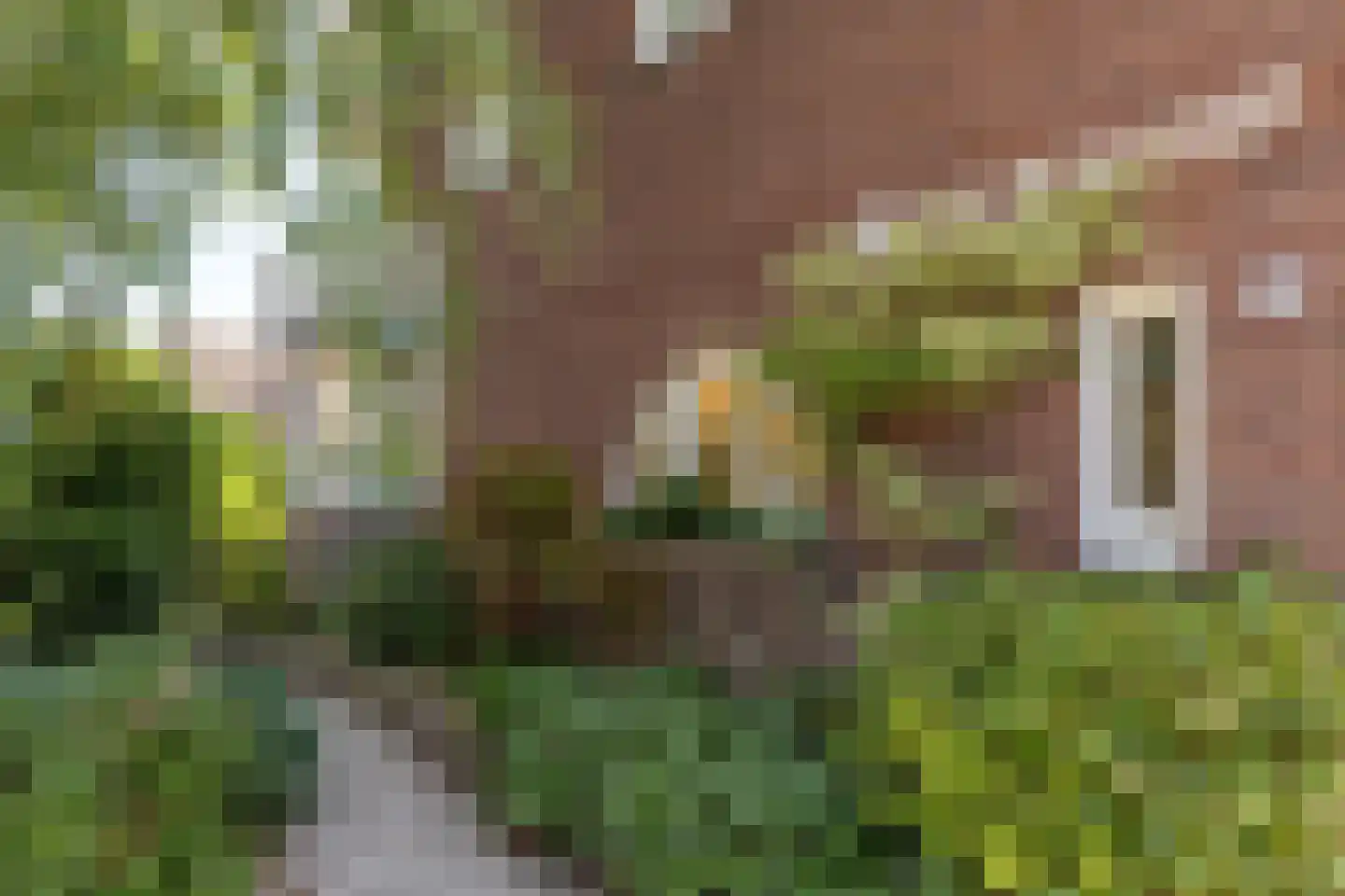 Achter de Kruiskapel 27 Grevenbicht thumbnail 11