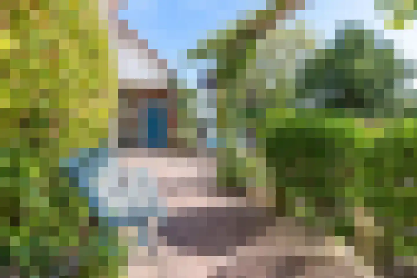 Achter de Kruiskapel 27 Grevenbicht thumbnail 34