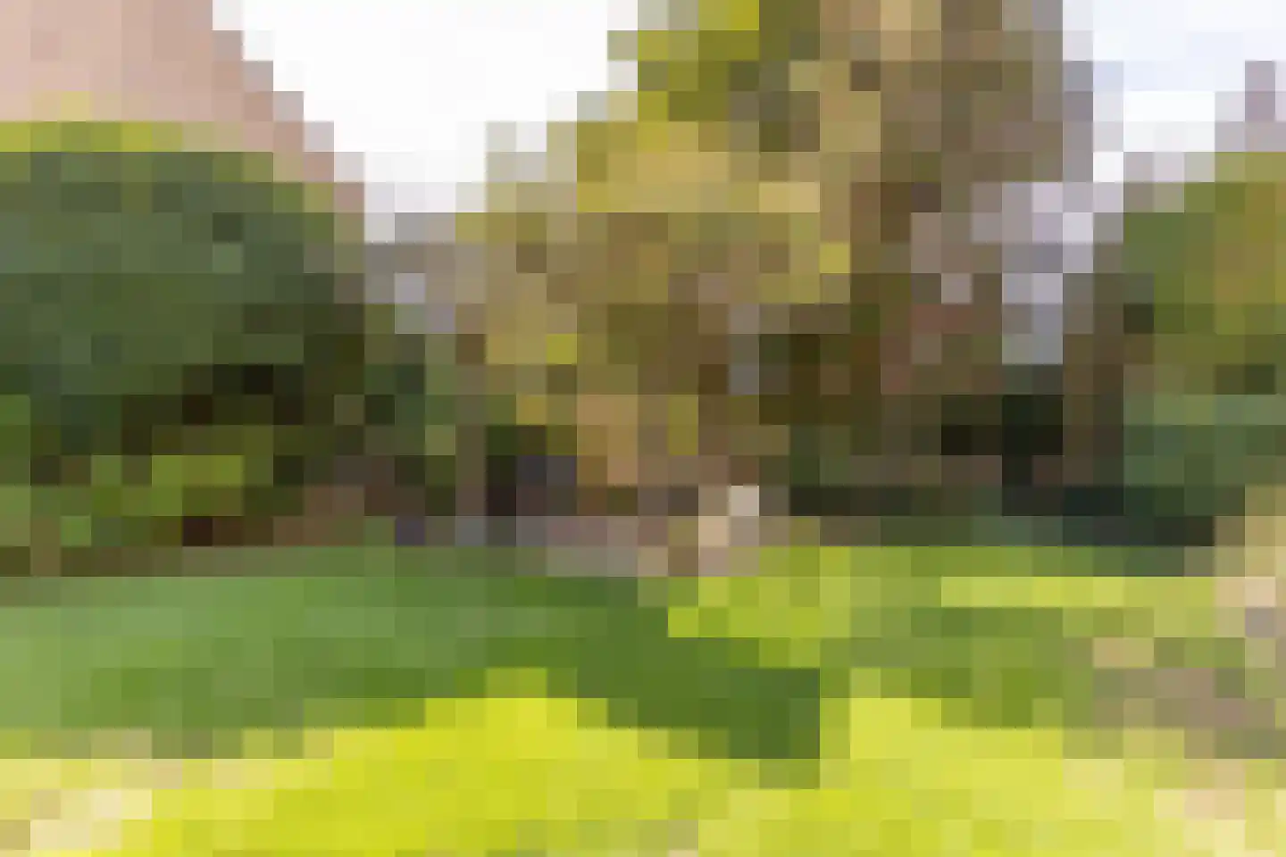 Achter de Kruiskapel 27 Grevenbicht thumbnail 38
