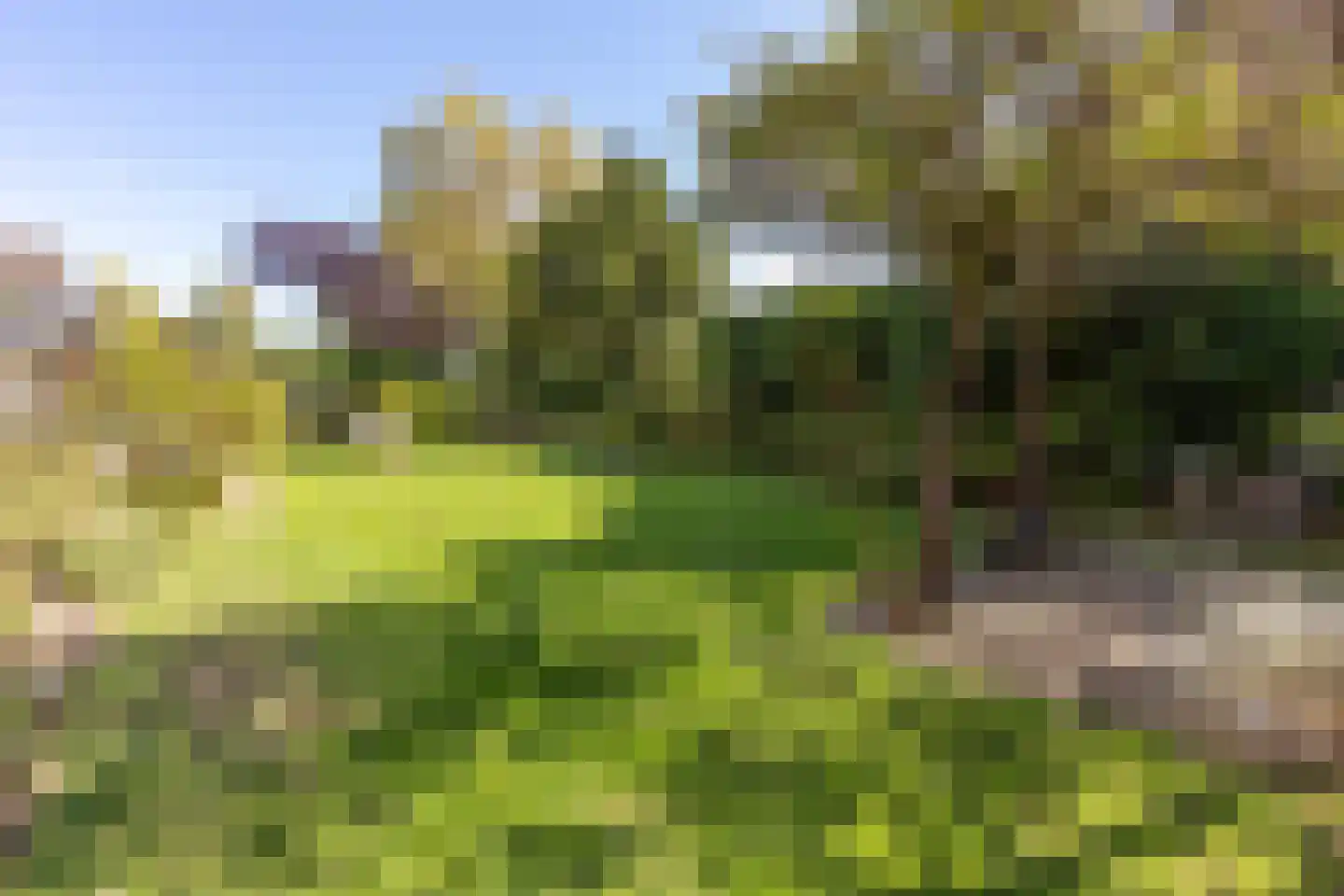 Achter de Kruiskapel 27 Grevenbicht thumbnail 39