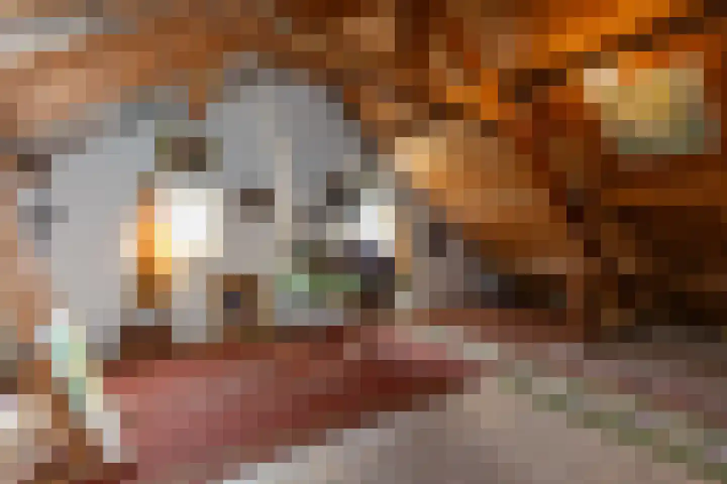 Achter de Kruiskapel 27 Grevenbicht thumbnail 58