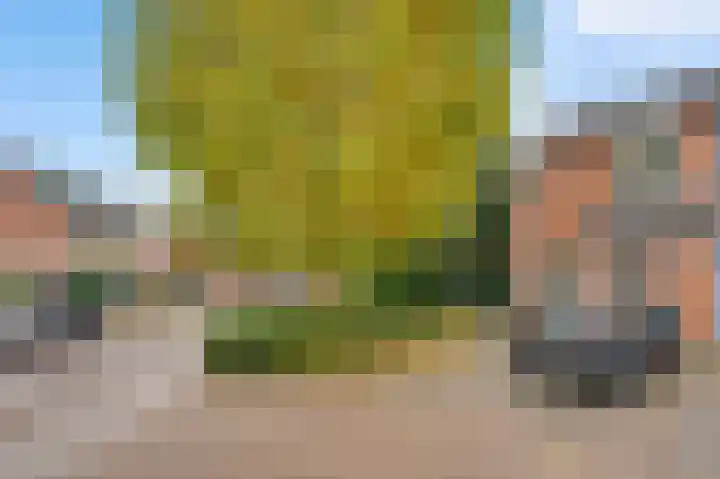 Achter de Lang Haag 33 Eijsden thumbnail 19
