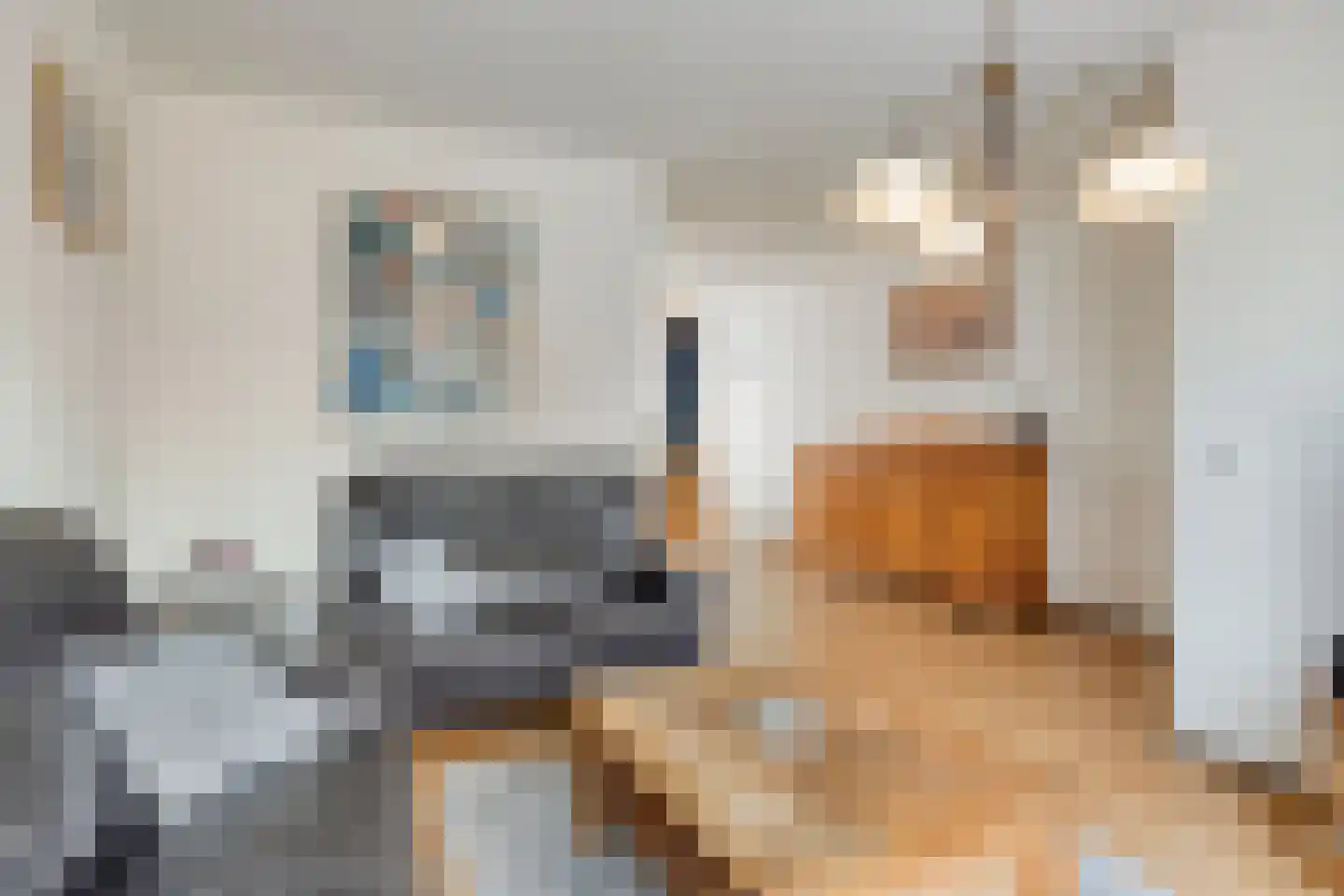Achter de Lang Haag 59 Eijsden thumbnail 8
