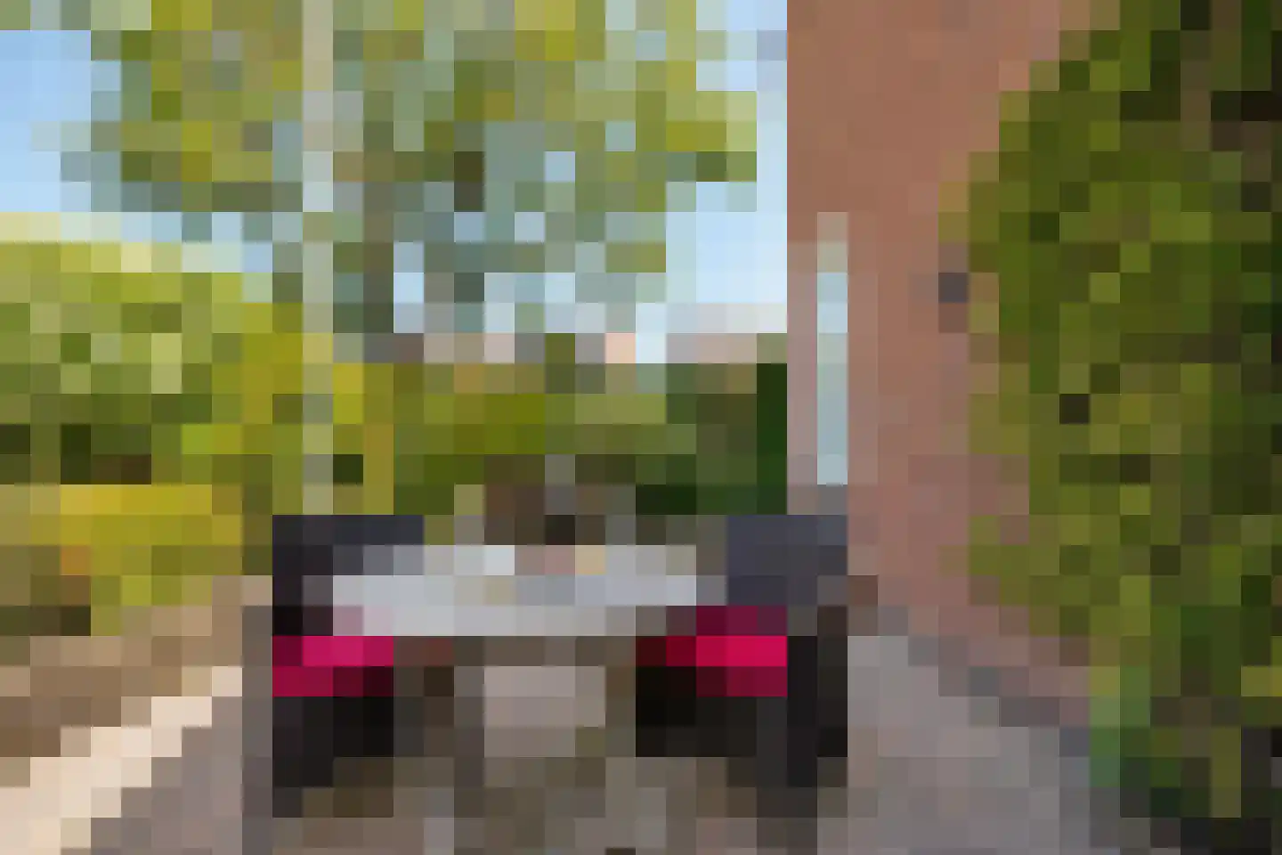 Achter de Lang Haag 65 Eijsden thumbnail 29
