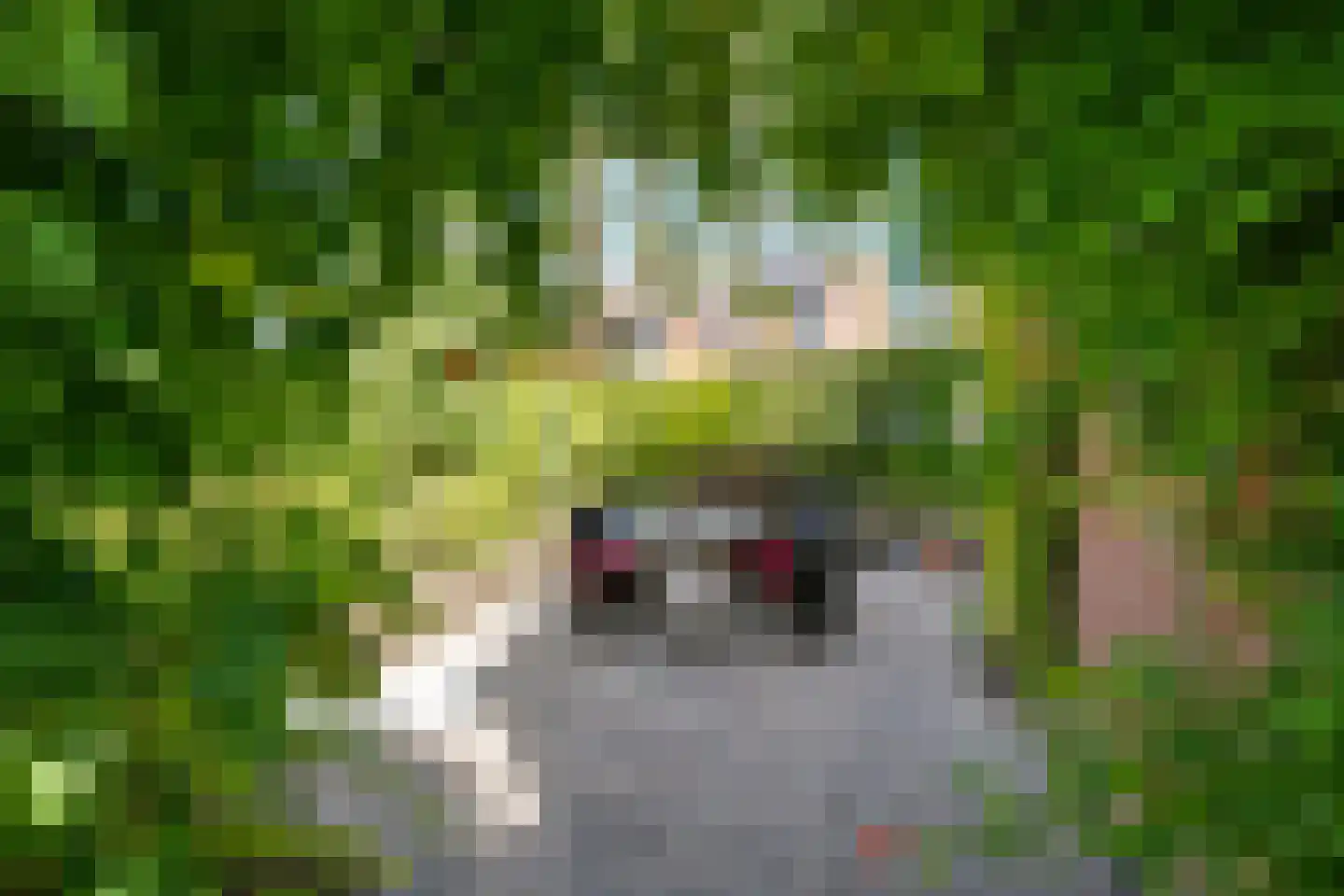 Achter de Lang Haag 65 Eijsden thumbnail 5