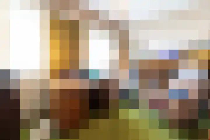 Achter de Molen 3 Maasbracht thumbnail 14
