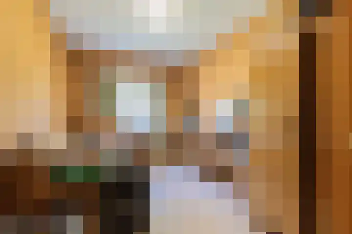 Achter de Molen 3 Maasbracht thumbnail 15