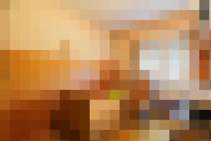 Achter de Molen 3 Maasbracht thumbnail 17