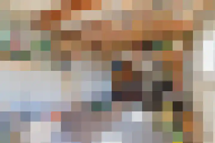 Achter de Molen 3 Maasbracht thumbnail 19