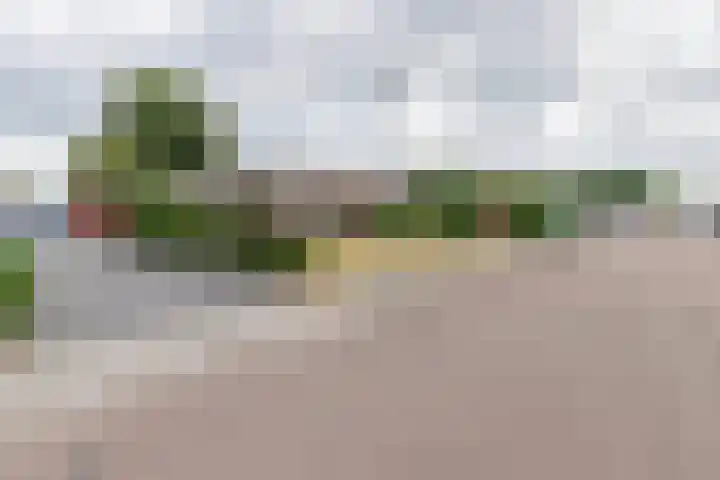 Achter de Molen 3 Maasbracht foto 2