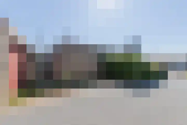 Achter de Molen 3 Maasbracht thumbnail 20