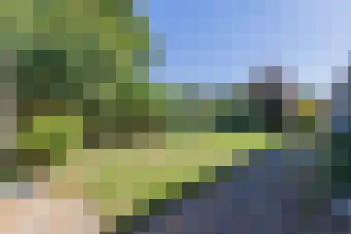Achter de Molen 3 Maasbracht thumbnail 21