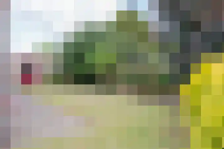 Achter de Molen 3 Maasbracht thumbnail 23