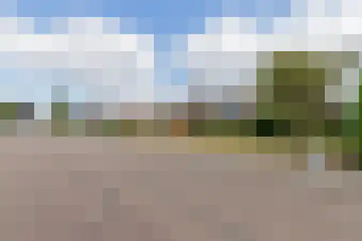 Achter de Molen 3 Maasbracht foto 3