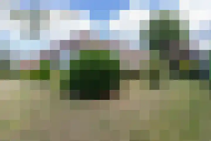 Achter de Molen 3 Maasbracht thumbnail 4