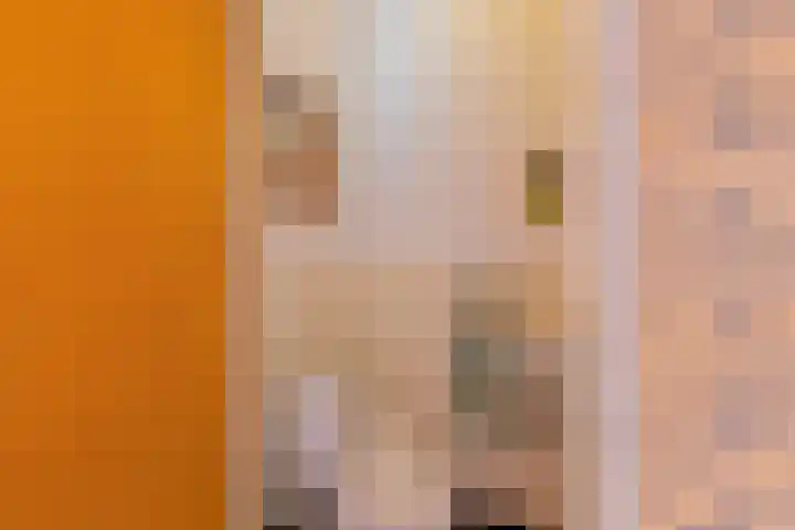 Achter de Molen 3 Maasbracht thumbnail 6